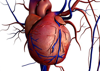 graphic of heart chronic heart cardio workout for men